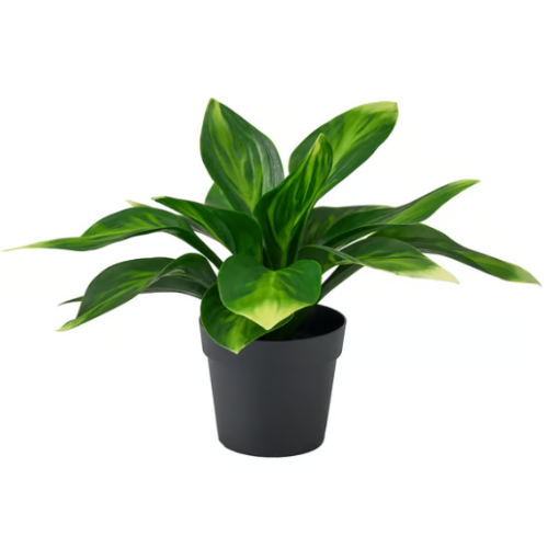 Planta Artificial interior