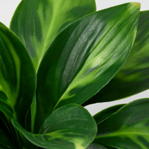 Planta Artificial interior
